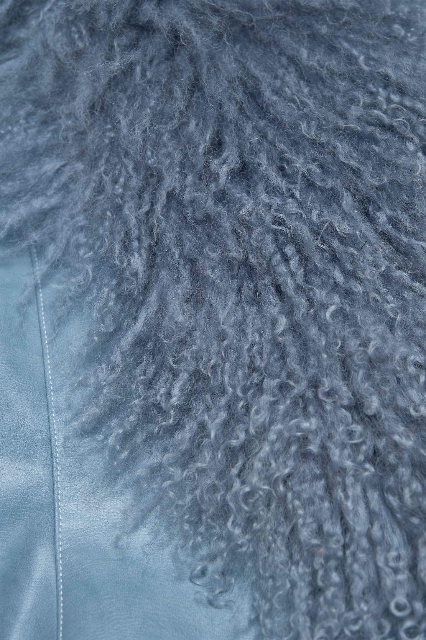 Mitty Raccoon Fur-Trimmed Leather Jacket in Blue